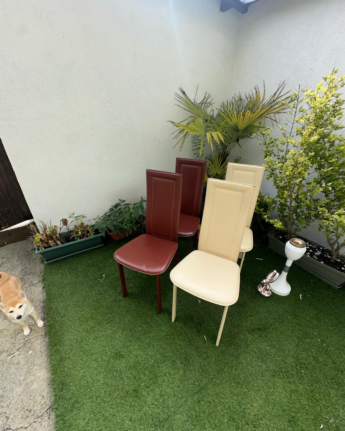 Lot de chaise en Cuir Design Italienne